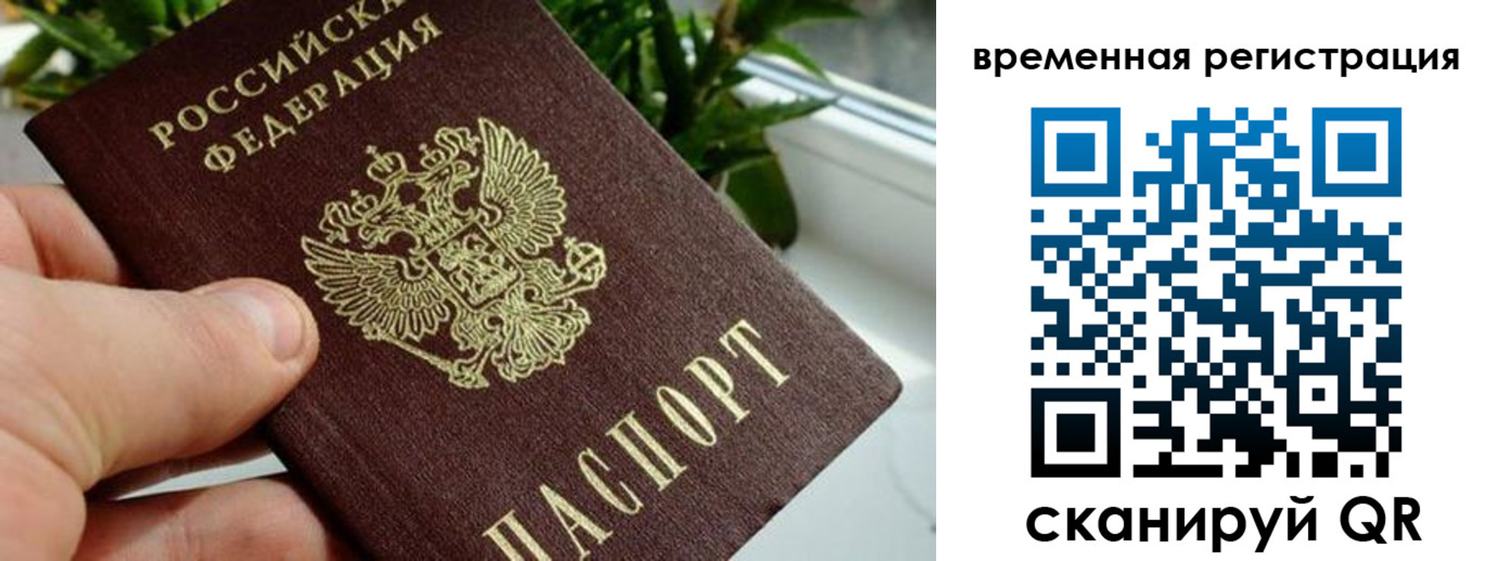 прописка поиск в Невельске